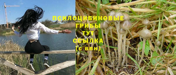 a pvp Богданович