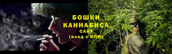 стафф Бородино
