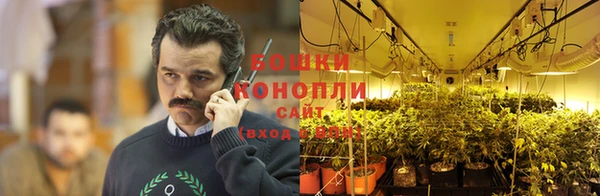 COCAINE Белокуриха